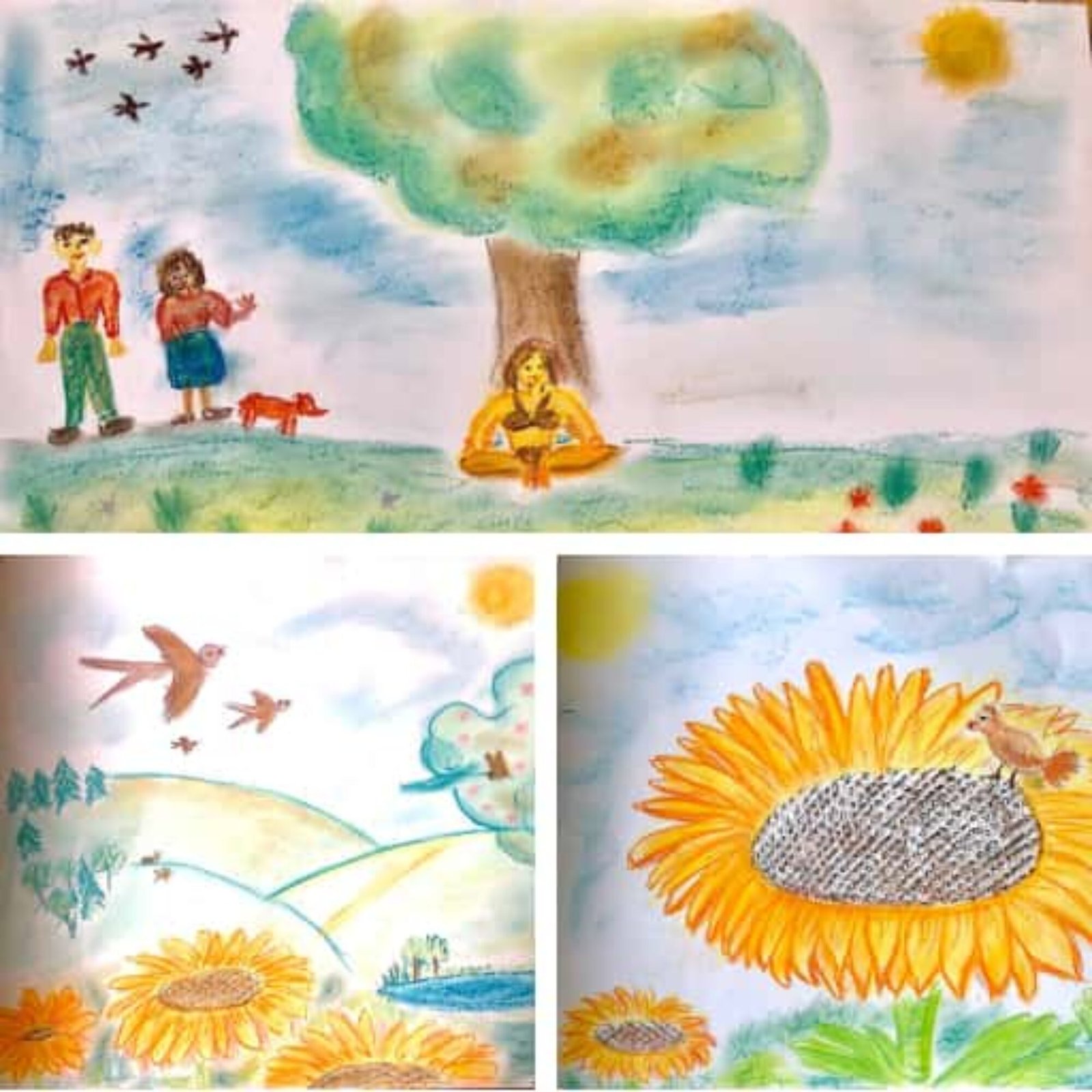 Le pastel sec en art-thérapie évolutive : un outil simple pour de grandes transformations